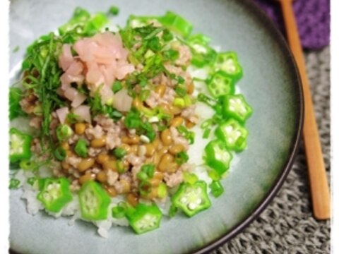 ひとりご飯に！生姜が決め手の塩麹そぼろ納豆丼